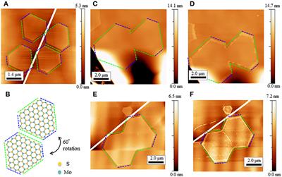 The Atomic and Electronic Structure of 0° and 60° Grain Boundaries in MoS2